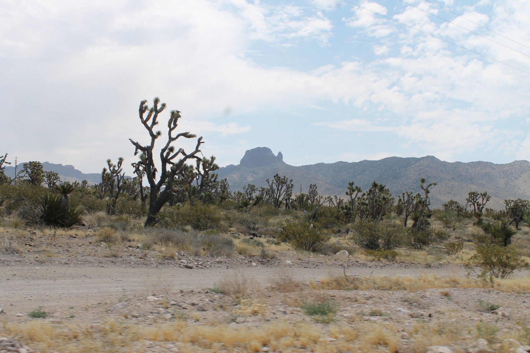 canyon20